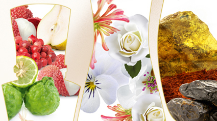 Die drei Duftnoten von WOMAN.