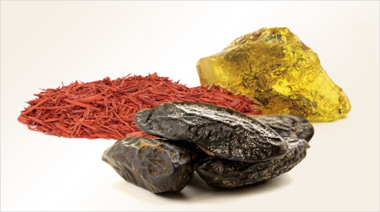 Seine Basisnote mit Sandelholz, Tonkabohne und goldenem Amber verleiht dem Eau de Parfum eine reizvolle Tiefe und sorgt dafür, dass er lang anhält und nachwirkt.