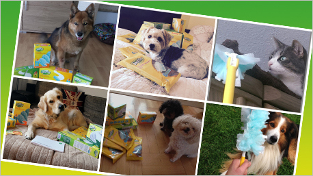 Interessante Fakten für Tierfreunde.