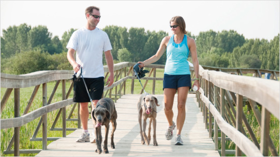 6.000 trnd-Partner – darunter viele Tierhalter – probieren den Swiffer XXL Staubmagnet selbst aus und teilen ihre Erfahrungen im Bekanntenkreis sowie mit der gesamten trnd-Community.