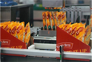 Herstellung von Tasty Bite Currys