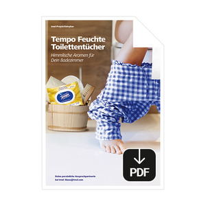 Der Tempo Projektfahrplan als Download