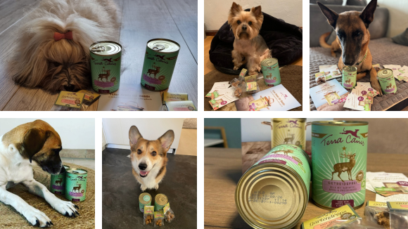 Glückliche Vierbeiner