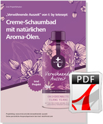 Der tetesept-Projektfahrplan als PDF.