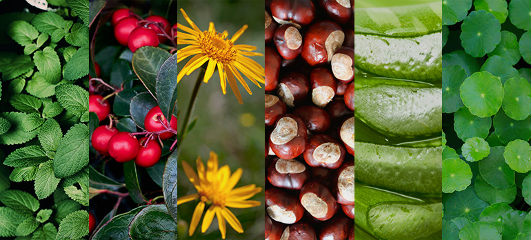 Das VoltaNatura Team sagt Hallo!