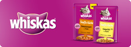 Blog Whiskas Sanfte Küche