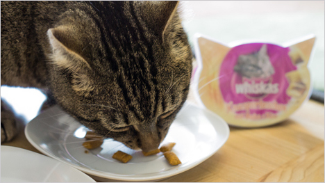 And the winner is - Huhn & Käse!