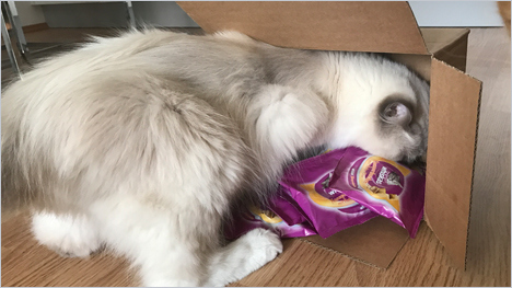 Neugierig haben wir erst einmal das Startpaket erkundet, bevor wir ...