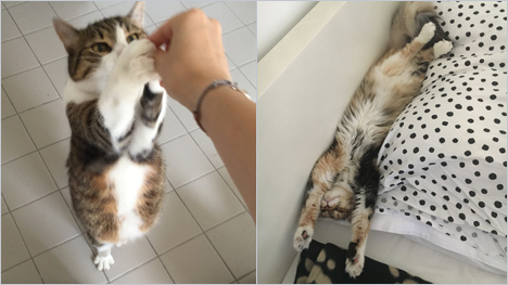 ... für die heißersehnte Knuspertasche "Männchen zu machen" und schließlich in den gemütlichen Teil überzugehen.