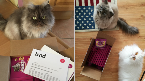 Was knuspert denn da im Startpaket?