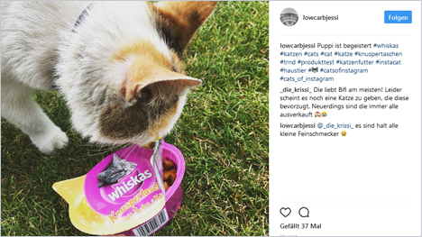 Wir machen die Whiskas Knuspertaschen online bekannt.