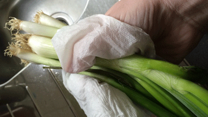 Gemüse putzen mit dem Zewa W&W Easypull.