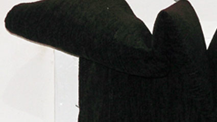 post-adivinanza1-jpg