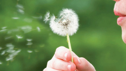 alergias-blog-marketting-participativo-trnd