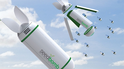 seedbomb_trnd_1