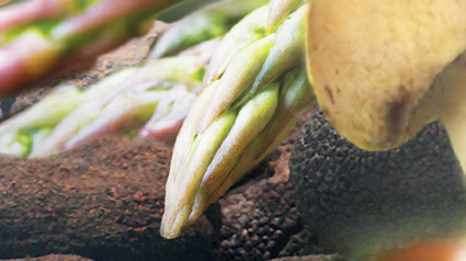 trnd-boca-a-boca-marketing-participativo-nuevo-proyecto