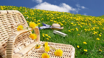 trnd-marketing-colaborativo-picnic-jpg