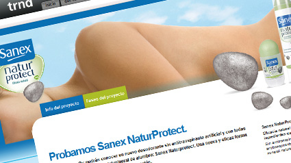 proyecto_sanex