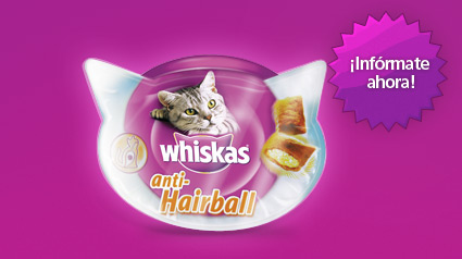 trnd-marketing-colaborativo-wom-boca-a-boca-whiskas-premios