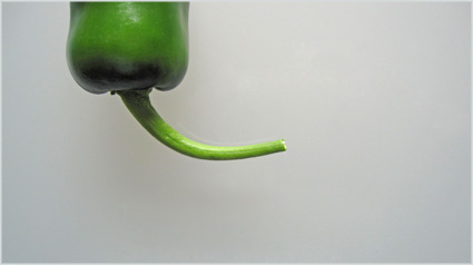 trnd-olores-sabores-jpg