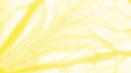 trnd-marketing-colaborativo-nuevo-proyecto1-jpg