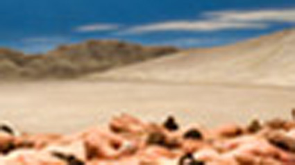 nuevo proyecto enero 2010