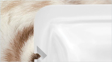 trnd marketing colaborativo nuevo proyecto