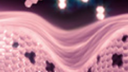 nuevo proyecto trnd marketing participativo