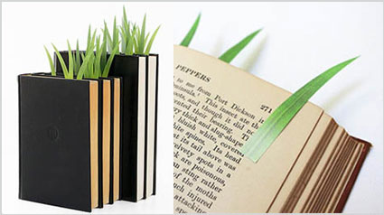 trnd-punto-libro-ecologico-jpg