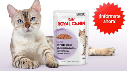 trnd marketing colaborativo nuevo proyect Royal Canin Sterilised Húmedo
