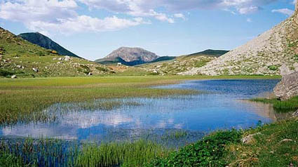 trnd-expresiones-jpg