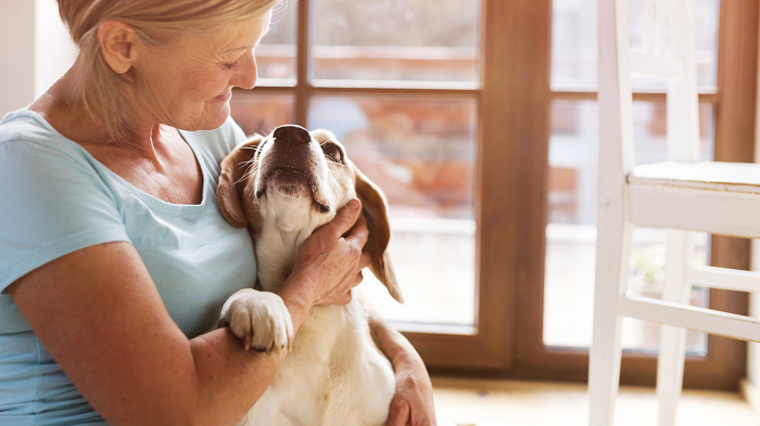 Experiencia con Advantix