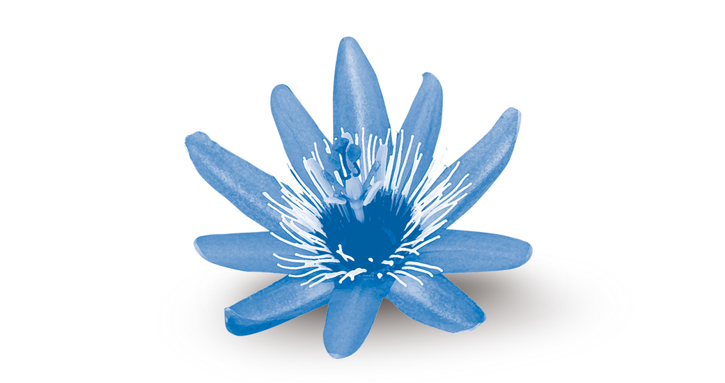 …una combinación de melatonina y otros elementos como valeriana y pasiflora…