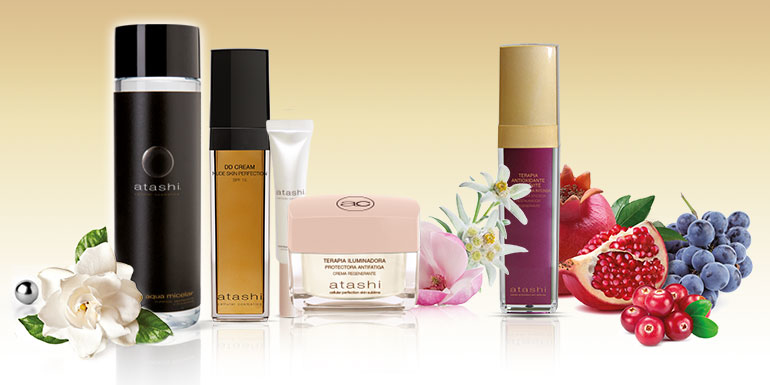 El poder de las células madre vegetales totipotentes