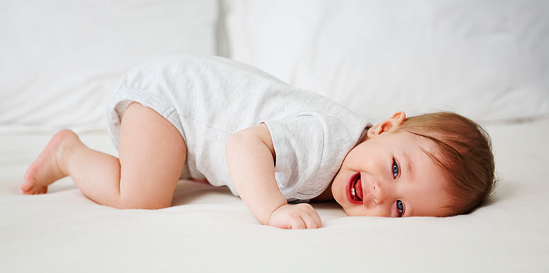 Blemil plus 3 Optimum