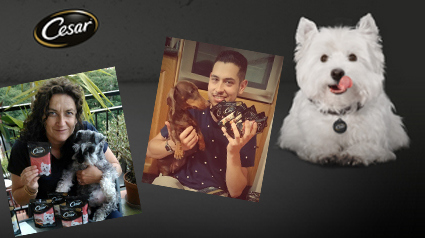 trnd-marketing-colaborativo-cesar-bolsitas