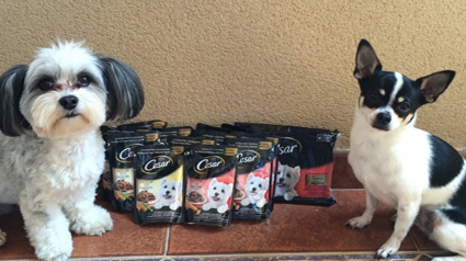 Los-packs-de-Bolsitas-Cesar-jpg