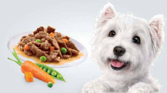 Las recetas Cesar están elaboradas con carne y verduras cuidadosamente seleccionadas, que contienen vitaminas y minerales...