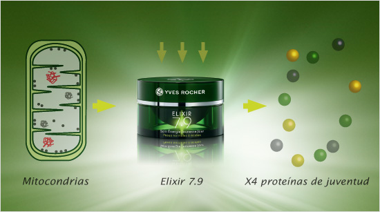 ...que reactiva las mitocondrias de la piel con el objetivo de crear la energía para fabricar 4 veces más proteínas de juventud (colágeno, ácido hialurónico y elastina).