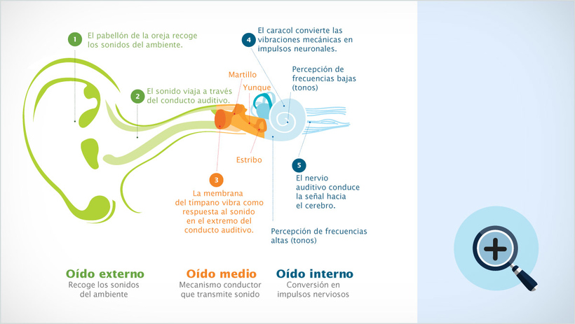 Clic aquí para ver imagen