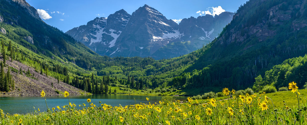 Este jarabe está elaborado a base de un extracto acuoso de 12 plantas…