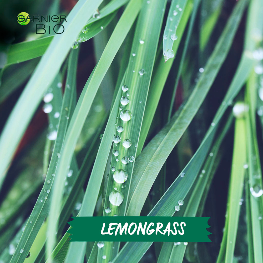 Aceite Esencial de Lemongrass