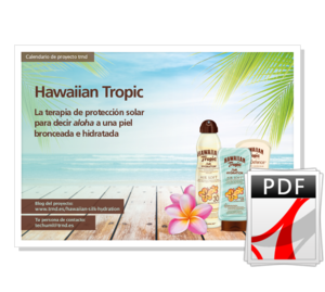 Calendario de Proyecto