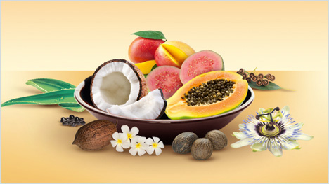 ¡La aventura está a punto de empezar!