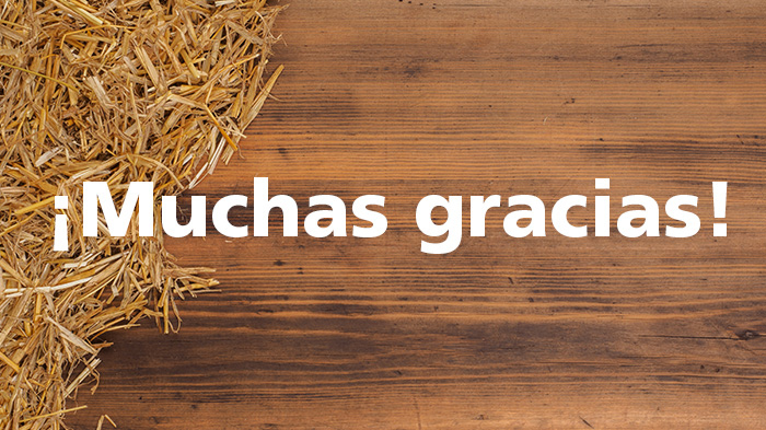 ¡Muchas gracias!
