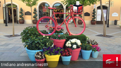 trndiano andresmartinez89