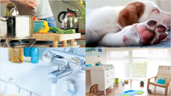 Por eso es tan importante una buena desinfección en el hogar, especialmente en cocinas, baños, zona de mascotas, zona de bebé o incluso en los textiles…