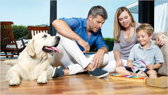 Precisamente, los hogares con mascotas, requieren un extra de desinfección, sobre todo en comederos, camas, transportines…