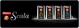 Blog Marcilla Scala