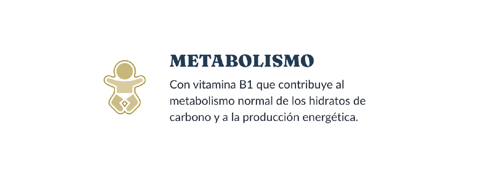 Metabolismo
